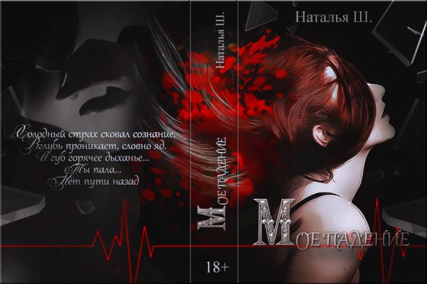 Обложка книги «Мое падение»