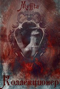 Обложка книги «Коллекционер (СИ)»