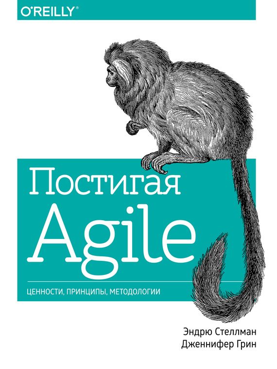 Обложка книги «Постигая Agile»