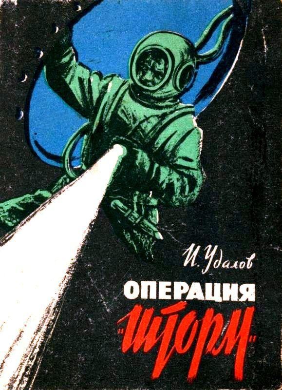 Обложка книги «Операция «Шторм»»