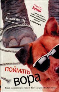 Обложка книги «Поймать вора»