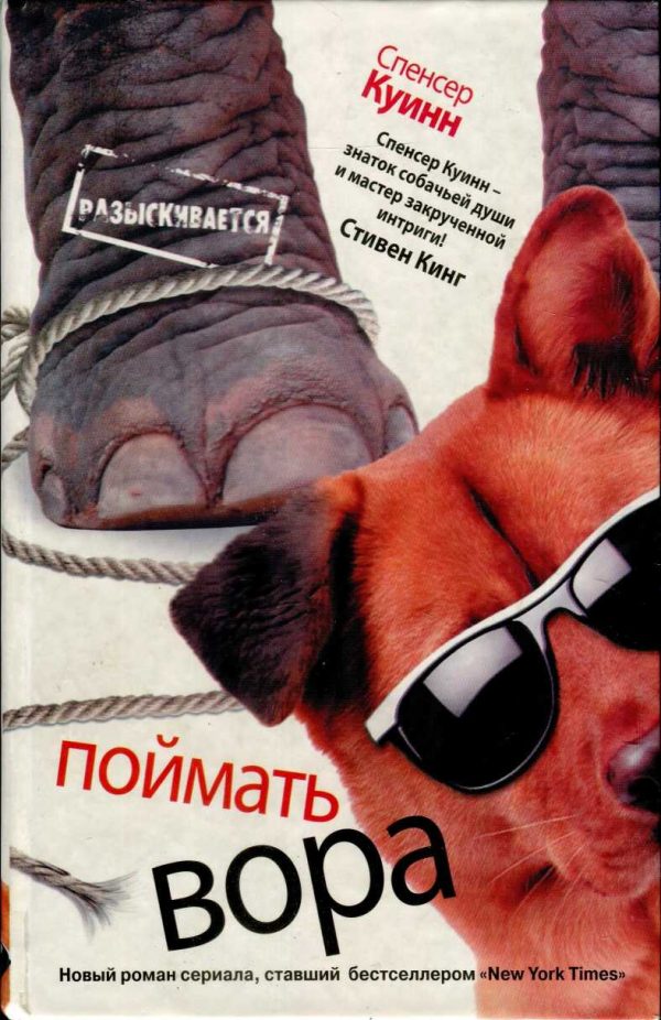 Обложка книги «Поймать вора»