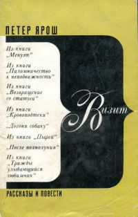 Обложка книги «Визит»