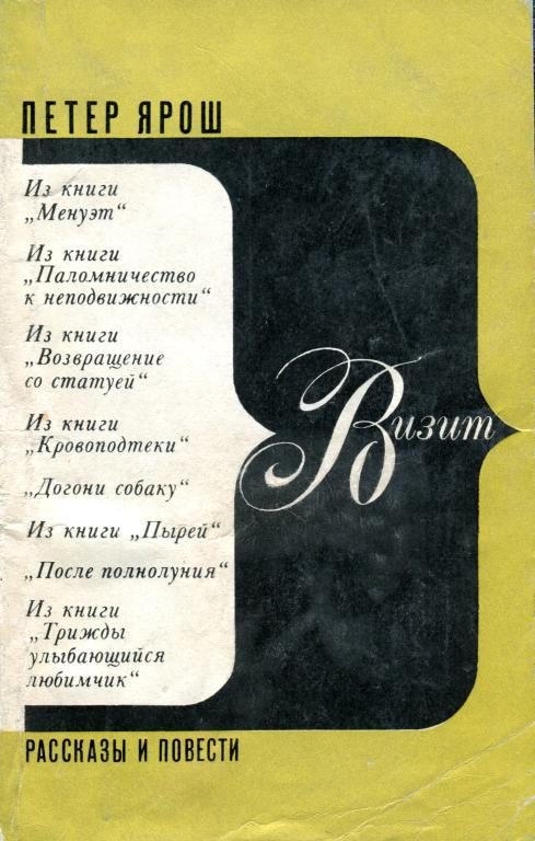 Обложка книги «Визит»