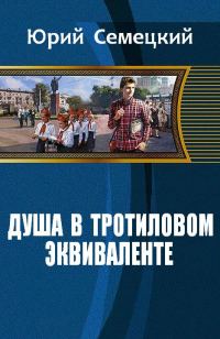Обложка книги «Душа в тротиловом эквиваленте»