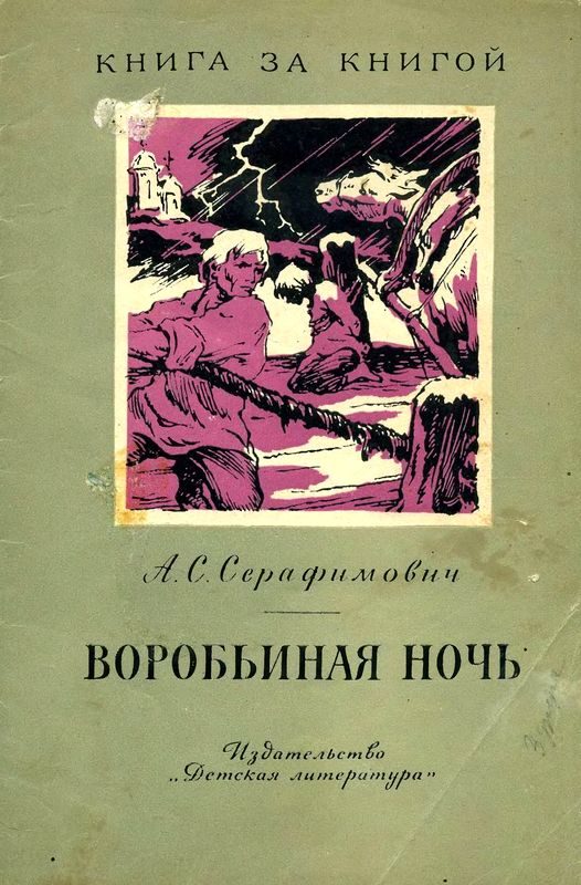 Обложка книги «Воробьиная ночь»
