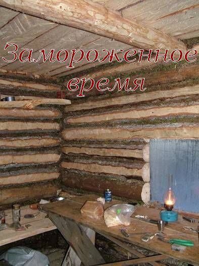 Обложка книги «Замороженное время»