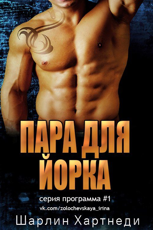 Обложка книги «Пара для Йорка»