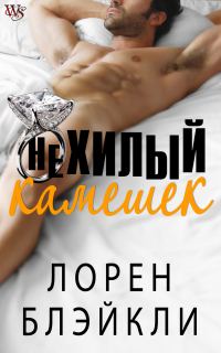 Обложка книги «Нехилый камешек»
