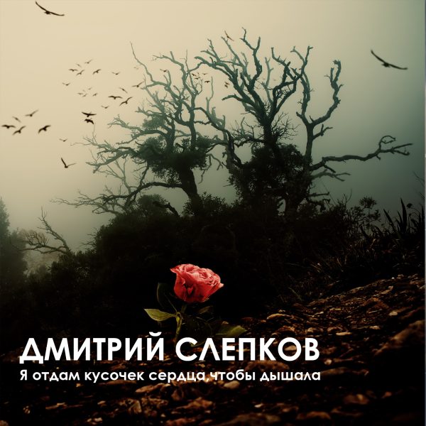 Обложка книги «Я отдам кусочек сердца,чтобы ты дышала…»