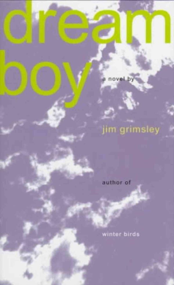 Обложка книги «Dream Boy»
