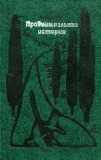 Обложка книги «Провинциальная история»