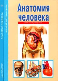 Обложка книги «Анатомия человека»