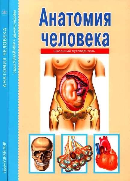 Обложка книги «Анатомия человека»
