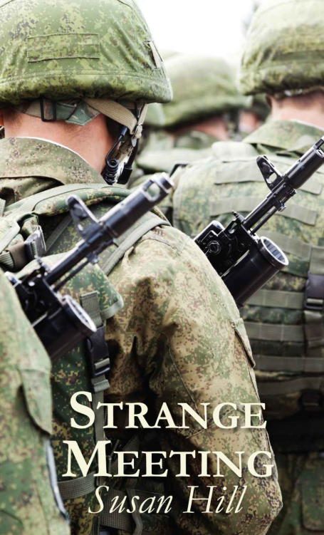 Обложка книги «Strange Meeting»