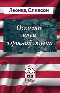 Обложка книги «Осколки зеркала моей взрослой жизни»