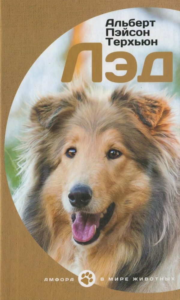 Обложка книги «Лэд»