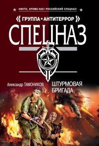 Обложка книги «Штурмовая бригада»