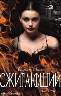 Обложка книги «Сжигающий»