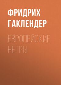 Обложка книги «Европейские негры»