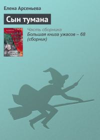 Обложка книги «Сын тумана»