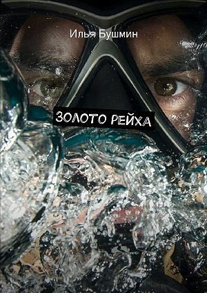 Обложка книги «Золото рейха»