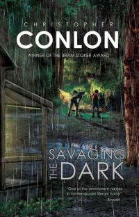 Обложка книги «Savaging the Dark»