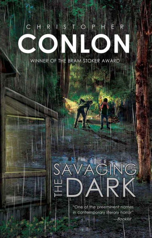 Обложка книги «Savaging the Dark»