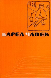Обложка книги «Собака и кошка»