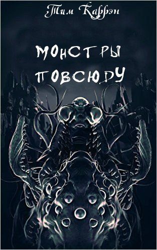 Обложка книги «Тень скитальца»