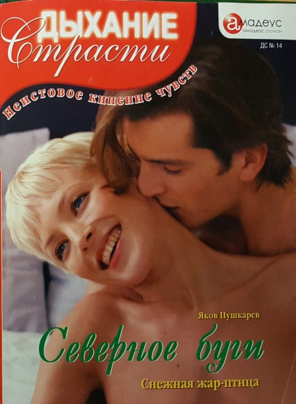 Обложка книги «Северное буги»