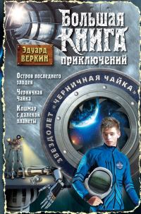 Обложка книги «Звездолет «Черничная Чайка»»