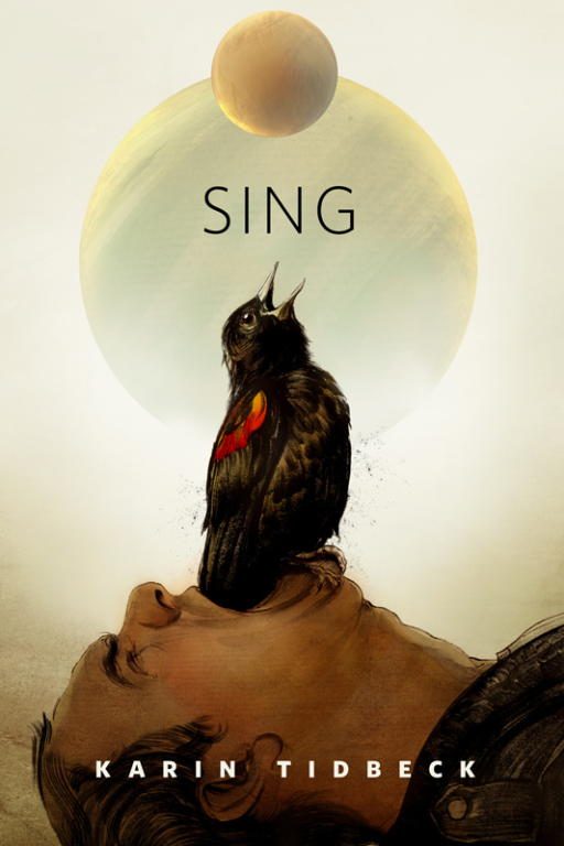 Обложка книги «Sing»