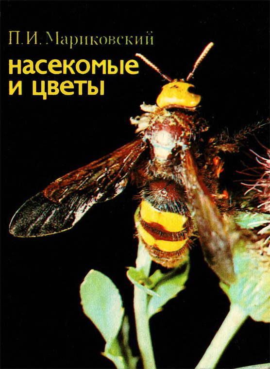 Обложка книги «Насекомые и цветы»