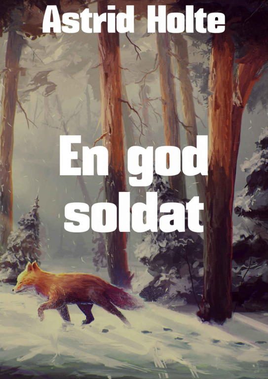 Обложка книги «En god soldat»