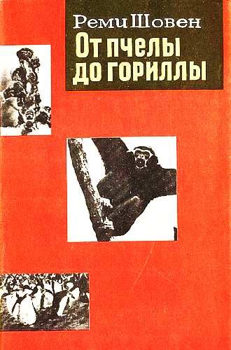 Обложка книги «От пчелы до гориллы»