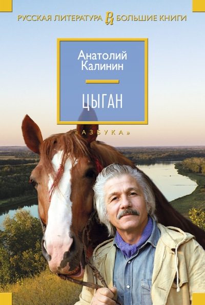 Обложка книги «Цыган»