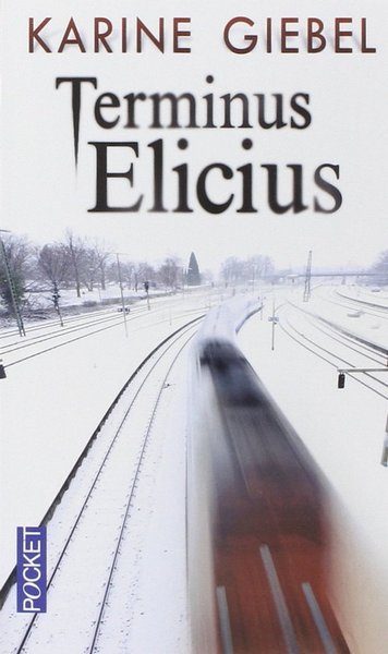 Обложка книги «Terminus Elicius»