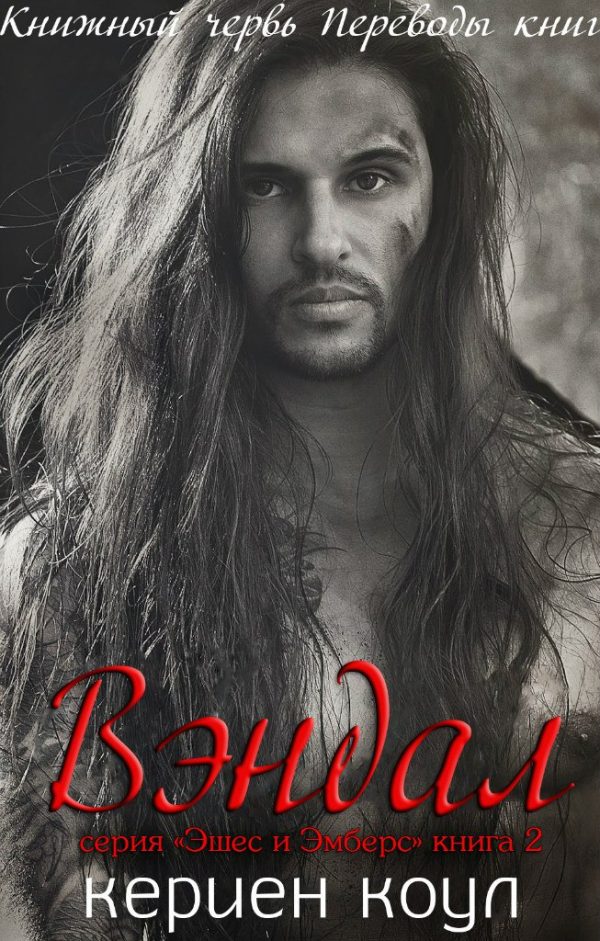 Обложка книги «Вэндал»