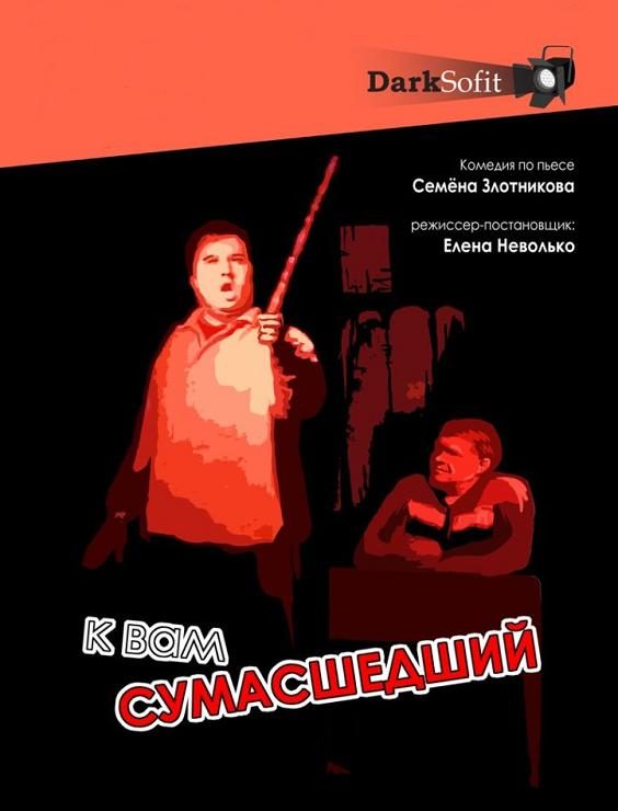 Обложка книги «К вам сумасшедший»