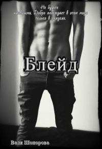 Обложка книги «Блейд»