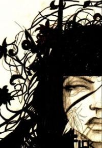 Обложка книги «Моё имя — Анита (СИ)»