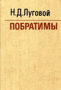 Обложка книги «Побратимы»