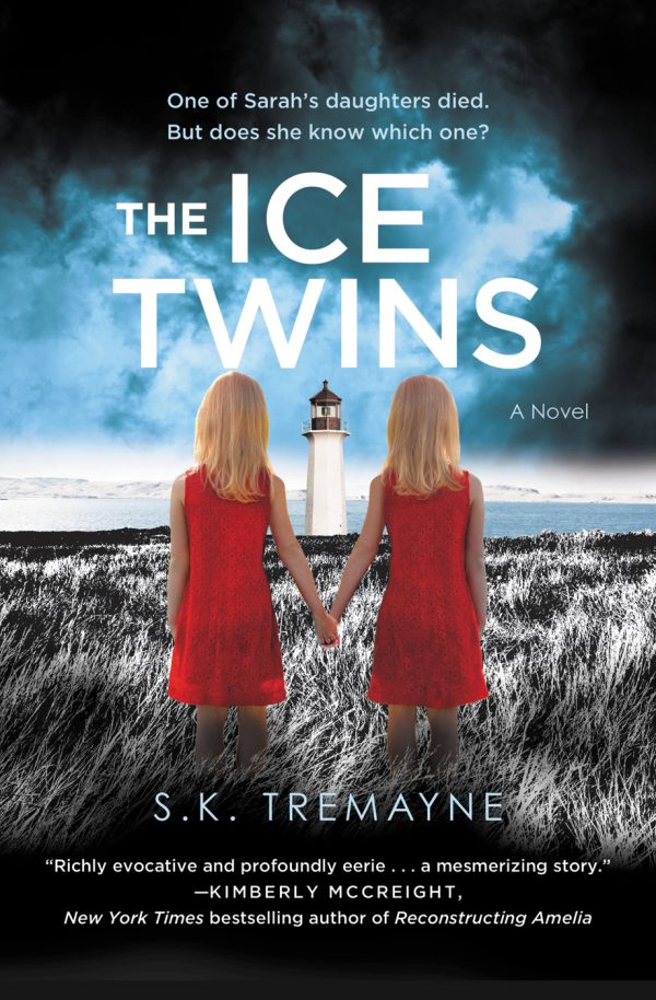 Обложка книги «The Ice Twins»