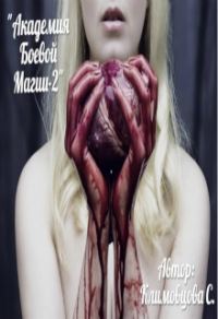 Обложка книги «Академия боевой магии. Книга 2»