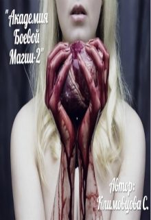 Обложка книги «Академия боевой магии. Книга 2»