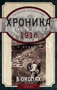 Обложка книги «Хроника одного полка. 1916 год. В окопах»