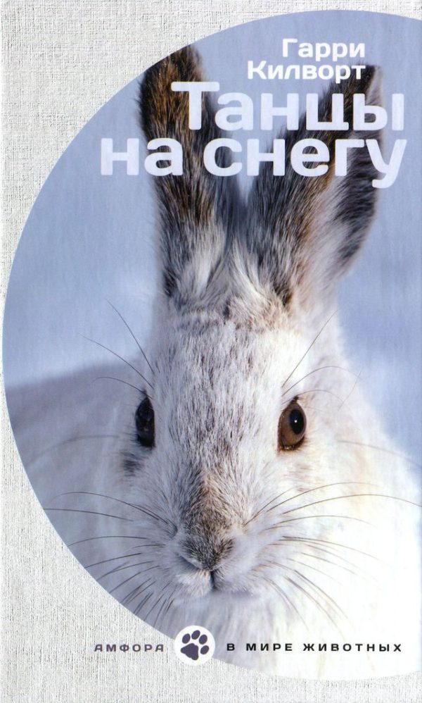 Обложка книги «Танцы на снегу»