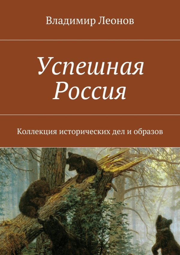 Обложка книги «Успешная Россия»