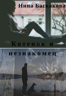 Обложка книги «Котенок и незнакомец»